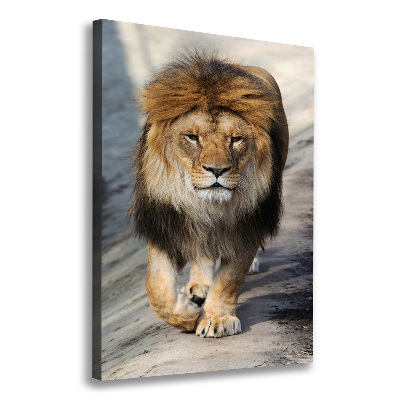 Tableau mural sur toile Lion