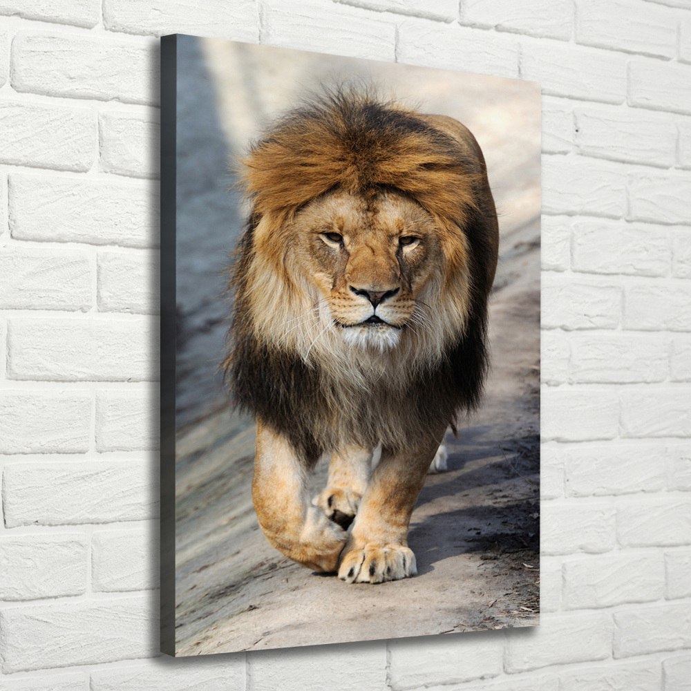 Tableau mural sur toile Lion