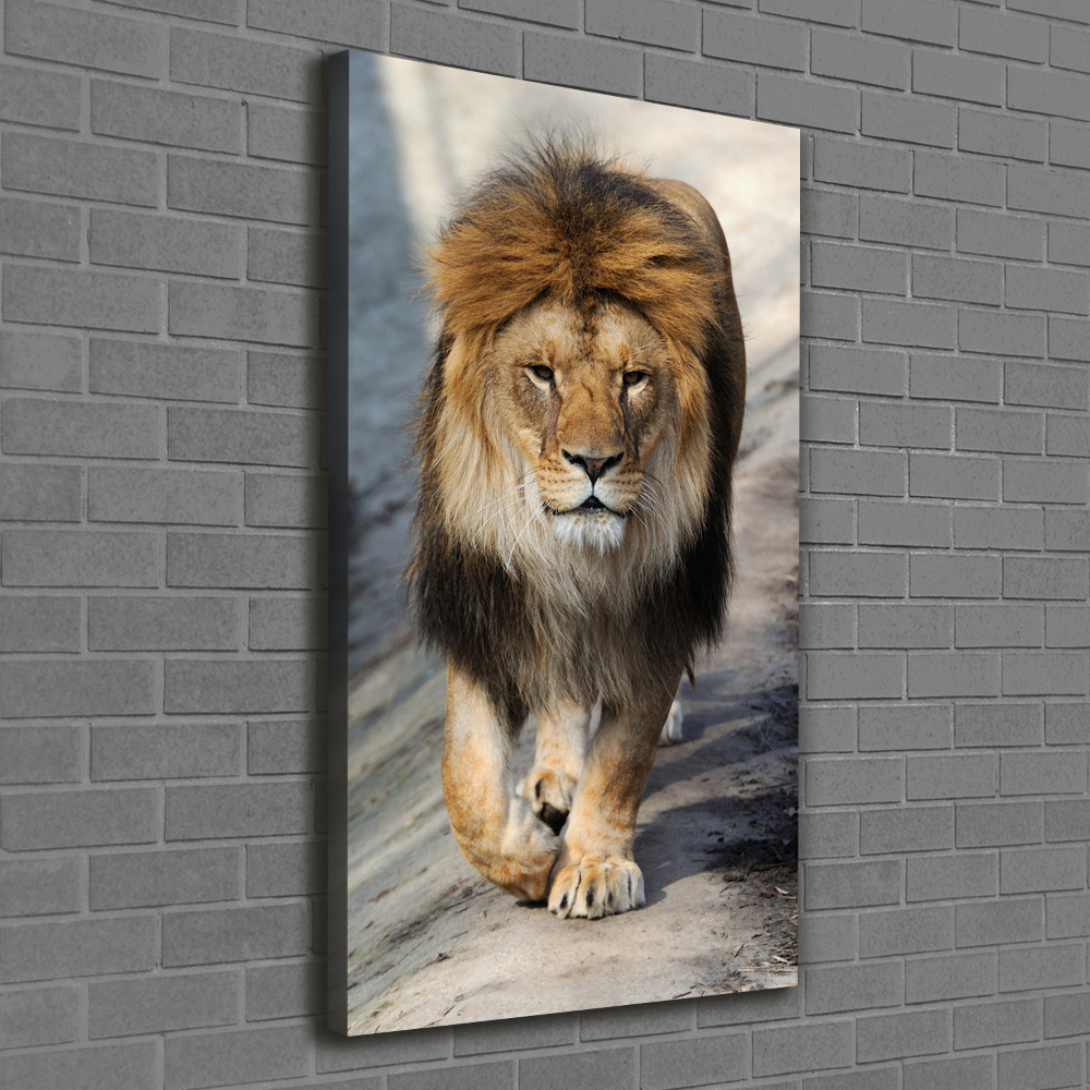 Tableau mural sur toile Lion