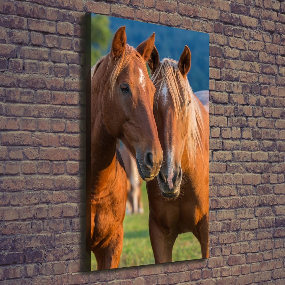 Tableau mural sur toile Deux chevaux