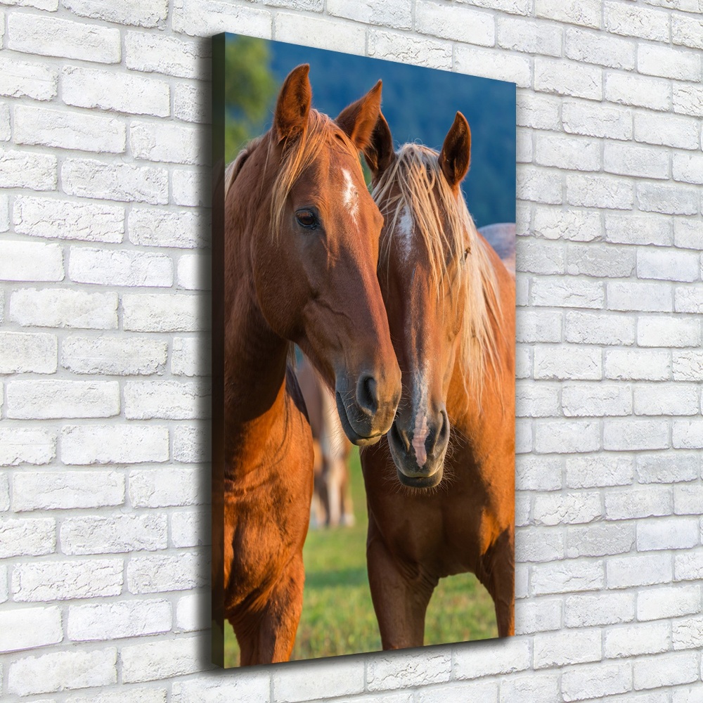 Tableau mural sur toile Deux chevaux