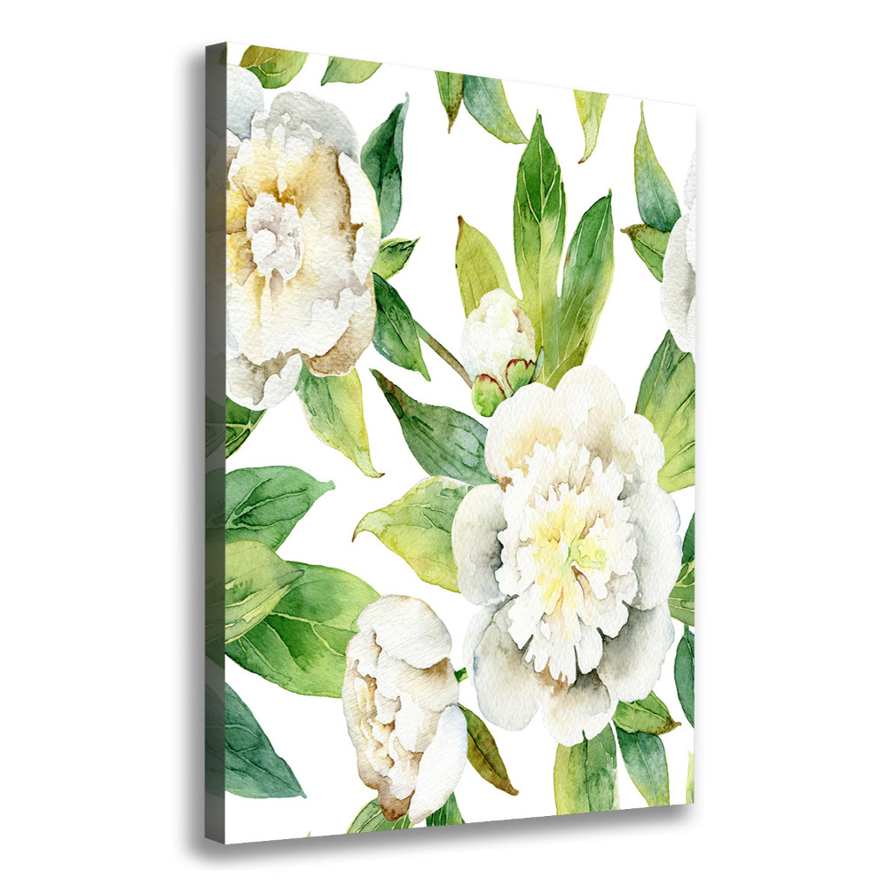 Tableau photo sur toile Pivoines fleurs