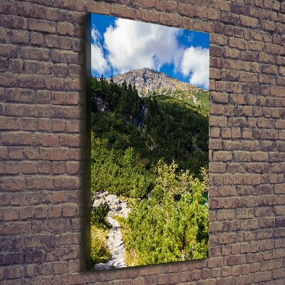 Tableau sur toile Regard sur la mer dans les Tatras