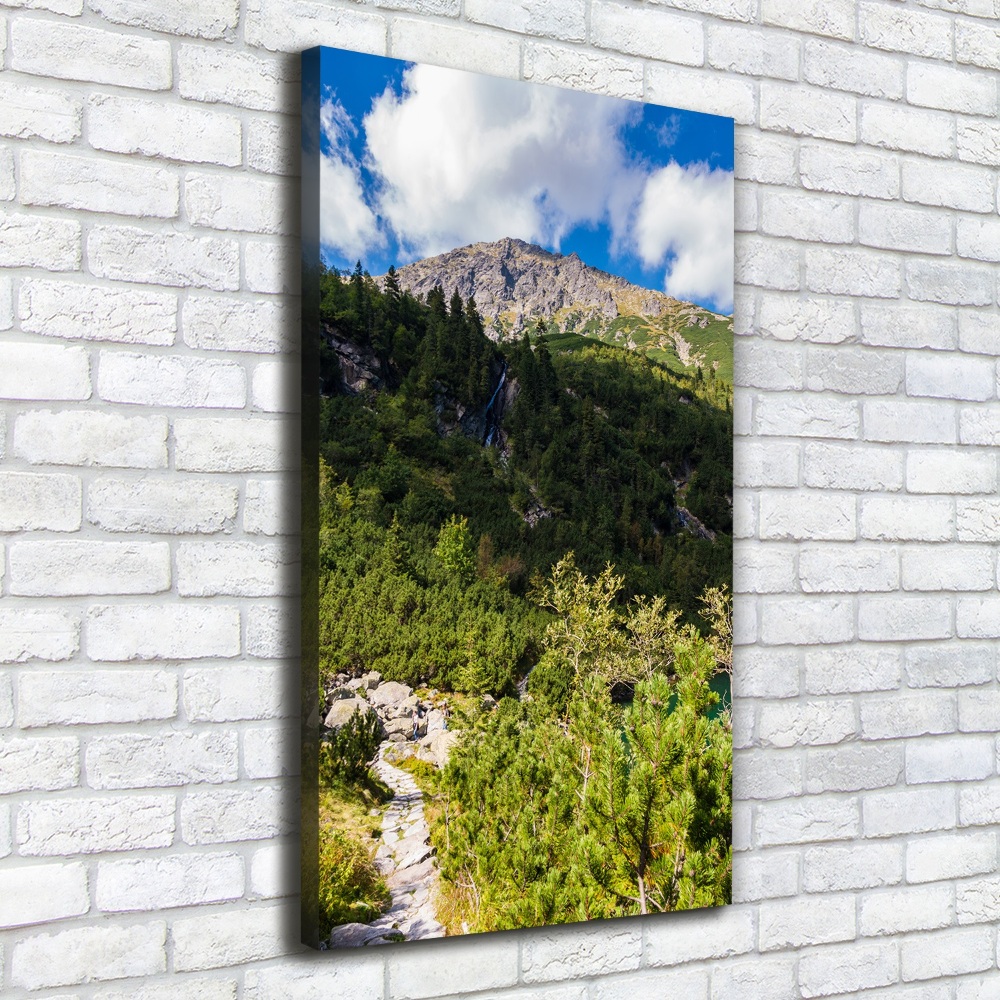 Tableau sur toile Regard sur la mer dans les Tatras