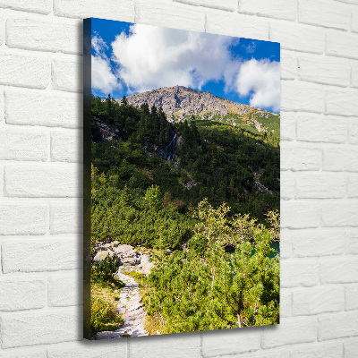 Tableau sur toile Regard sur la mer dans les Tatras