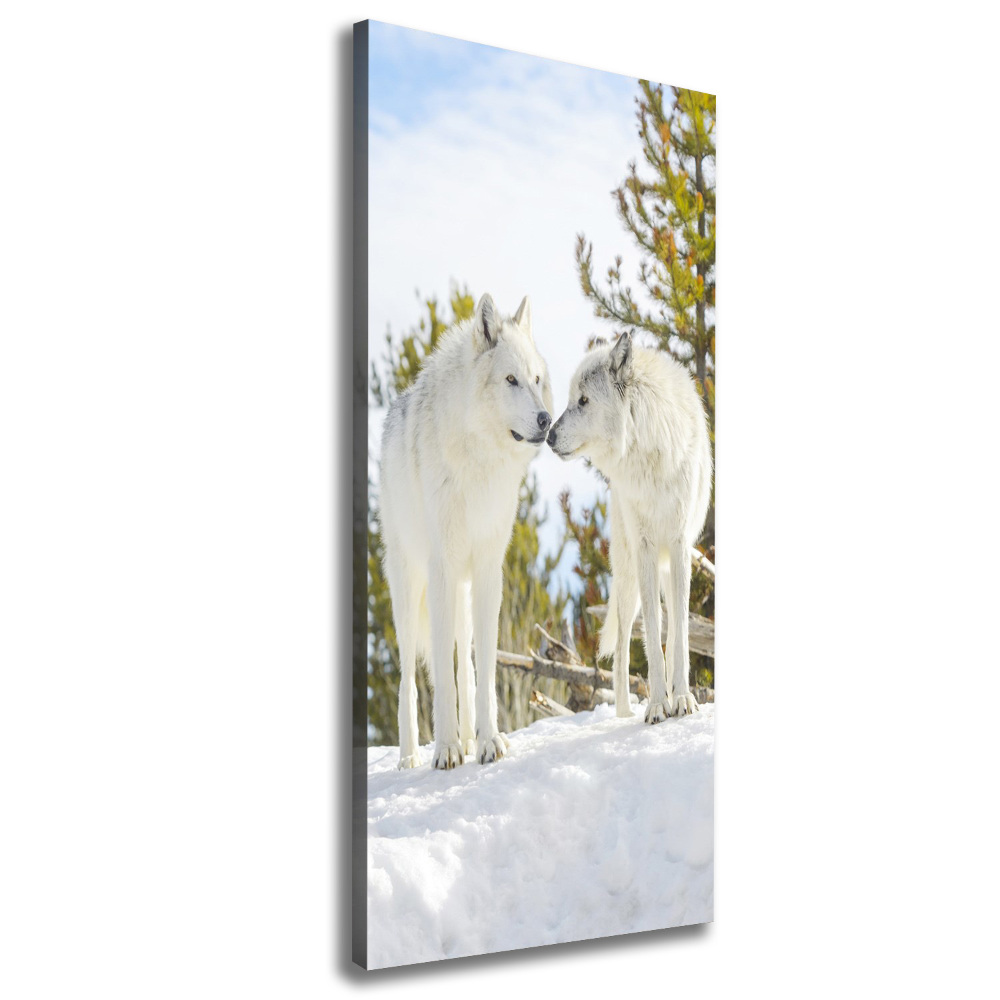 Tableau photo sur toile Deux loups blancs