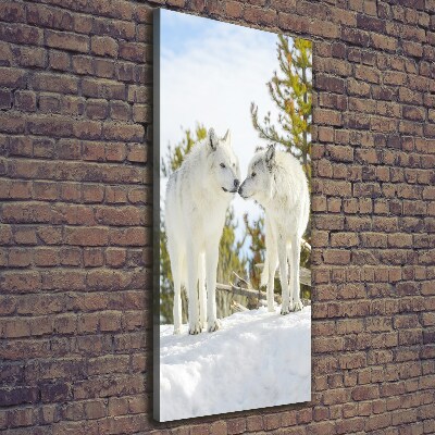 Tableau photo sur toile Deux loups blancs