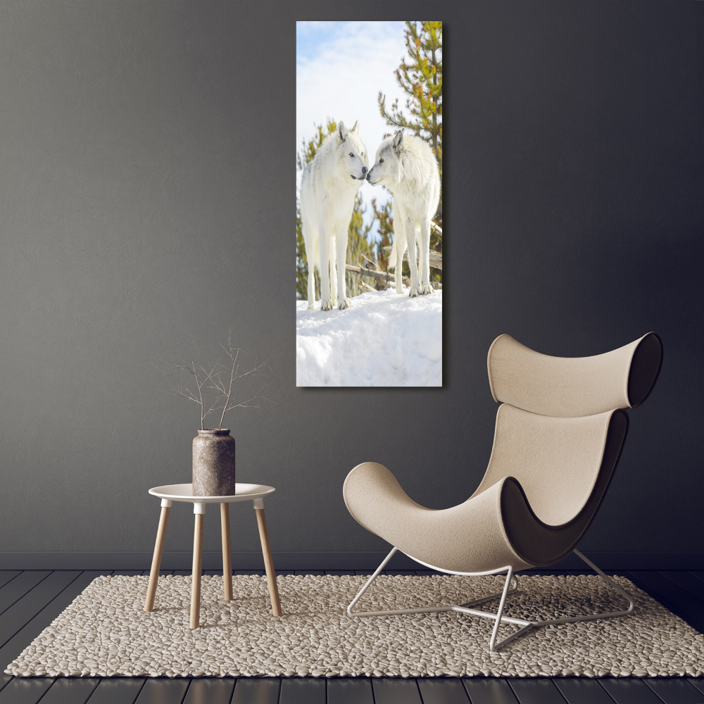 Tableau photo sur toile Deux loups blancs