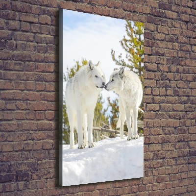 Tableau photo sur toile Deux loups blancs