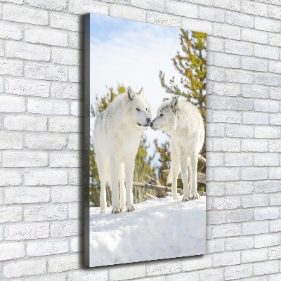 Tableau photo sur toile Deux loups blancs