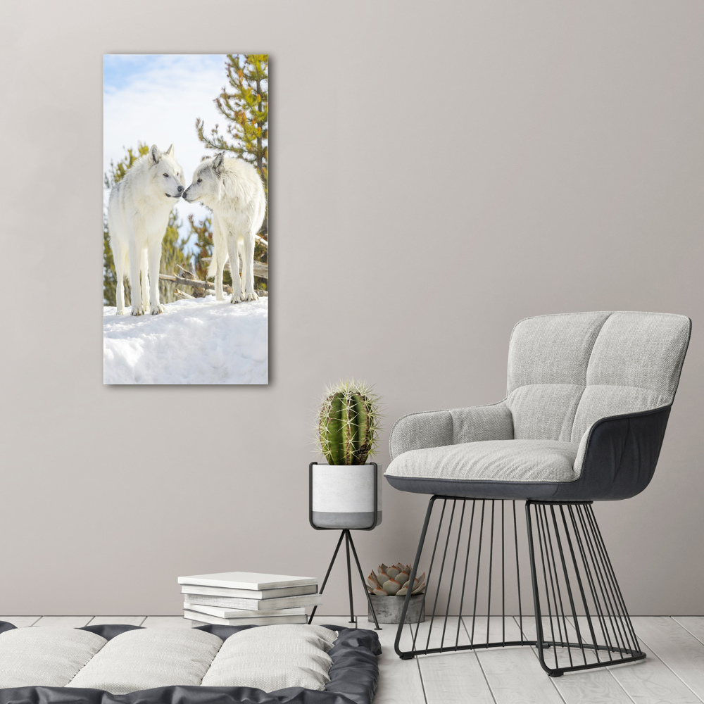 Tableau photo sur toile Deux loups blancs