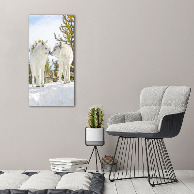 Tableau photo sur toile Deux loups blancs