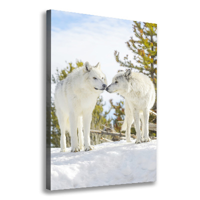 Tableau photo sur toile Deux loups blancs