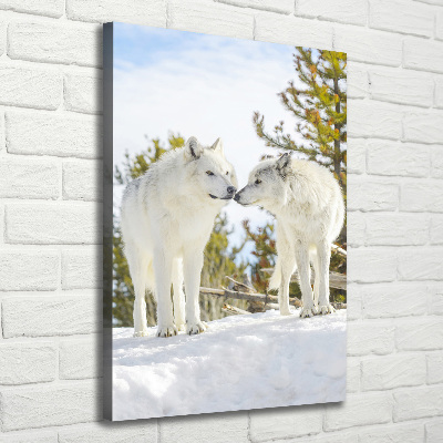 Tableau photo sur toile Deux loups blancs