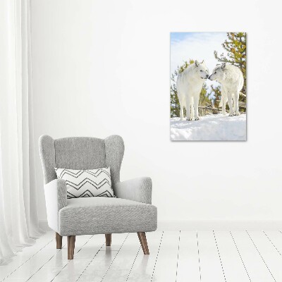 Tableau photo sur toile Deux loups blancs