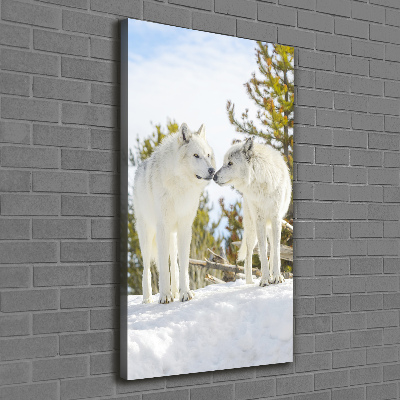 Tableau photo sur toile Deux loups blancs