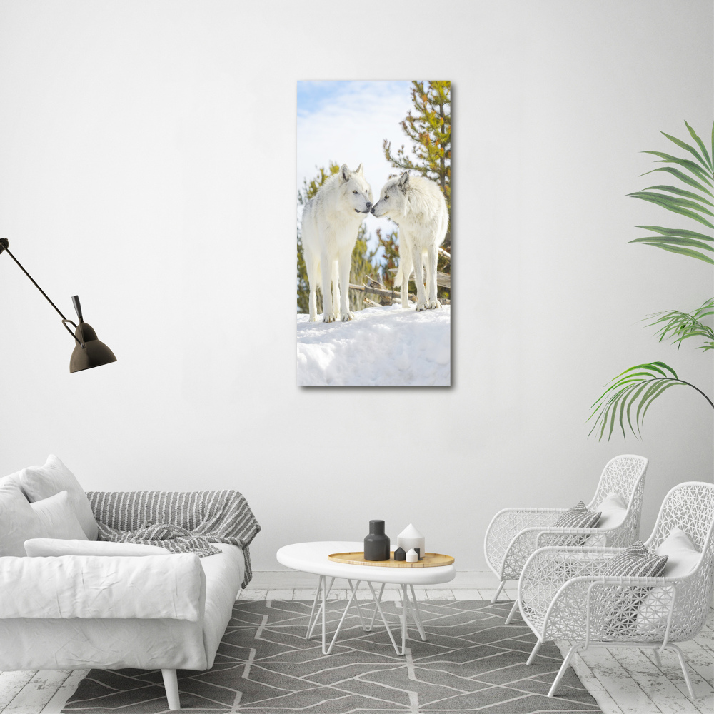 Tableau photo sur toile Deux loups blancs