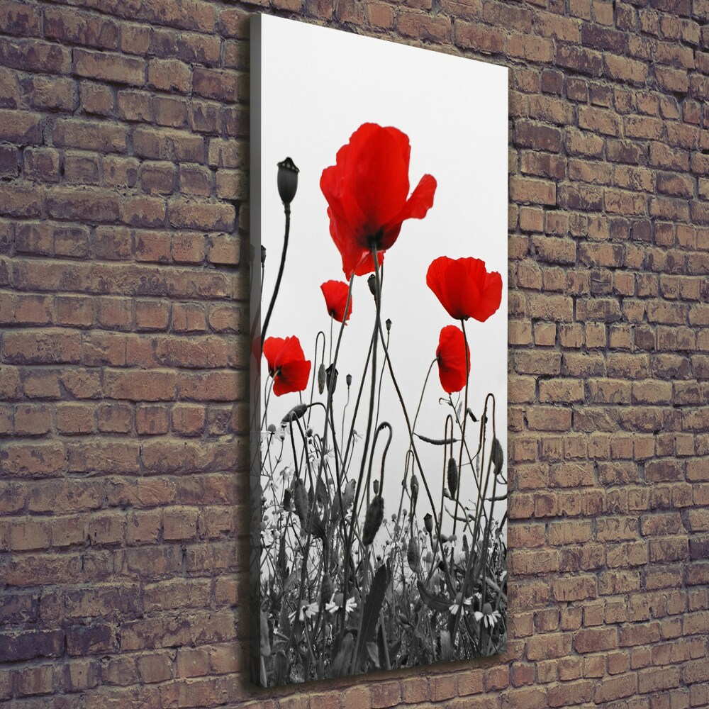 Tableau imprimé sur toile Coquelicots rouges