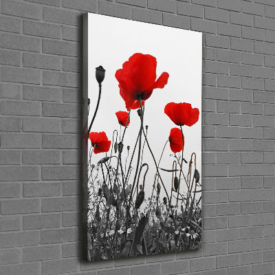 Tableau imprimé sur toile Coquelicots rouges