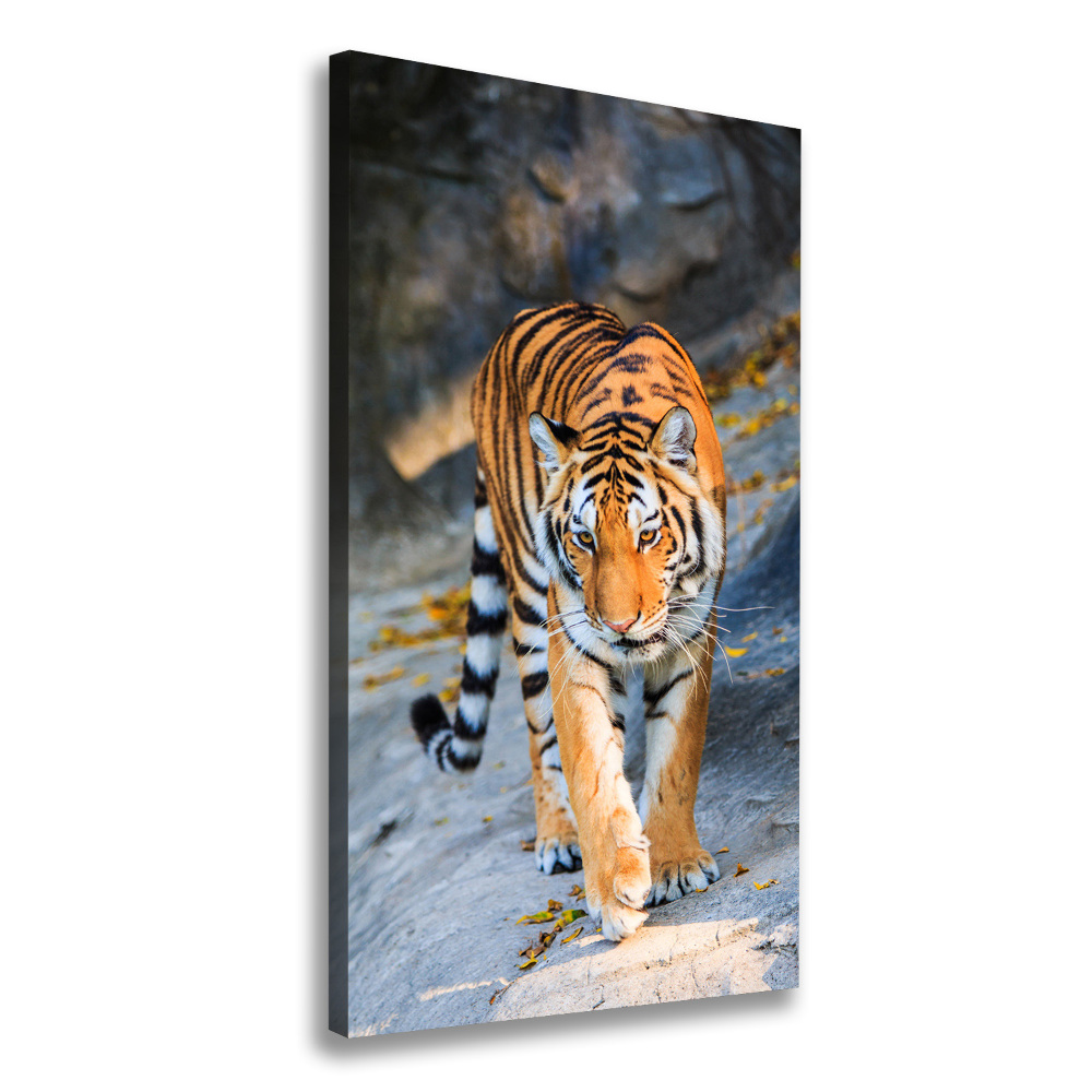 Tableau mural sur toile Tigre