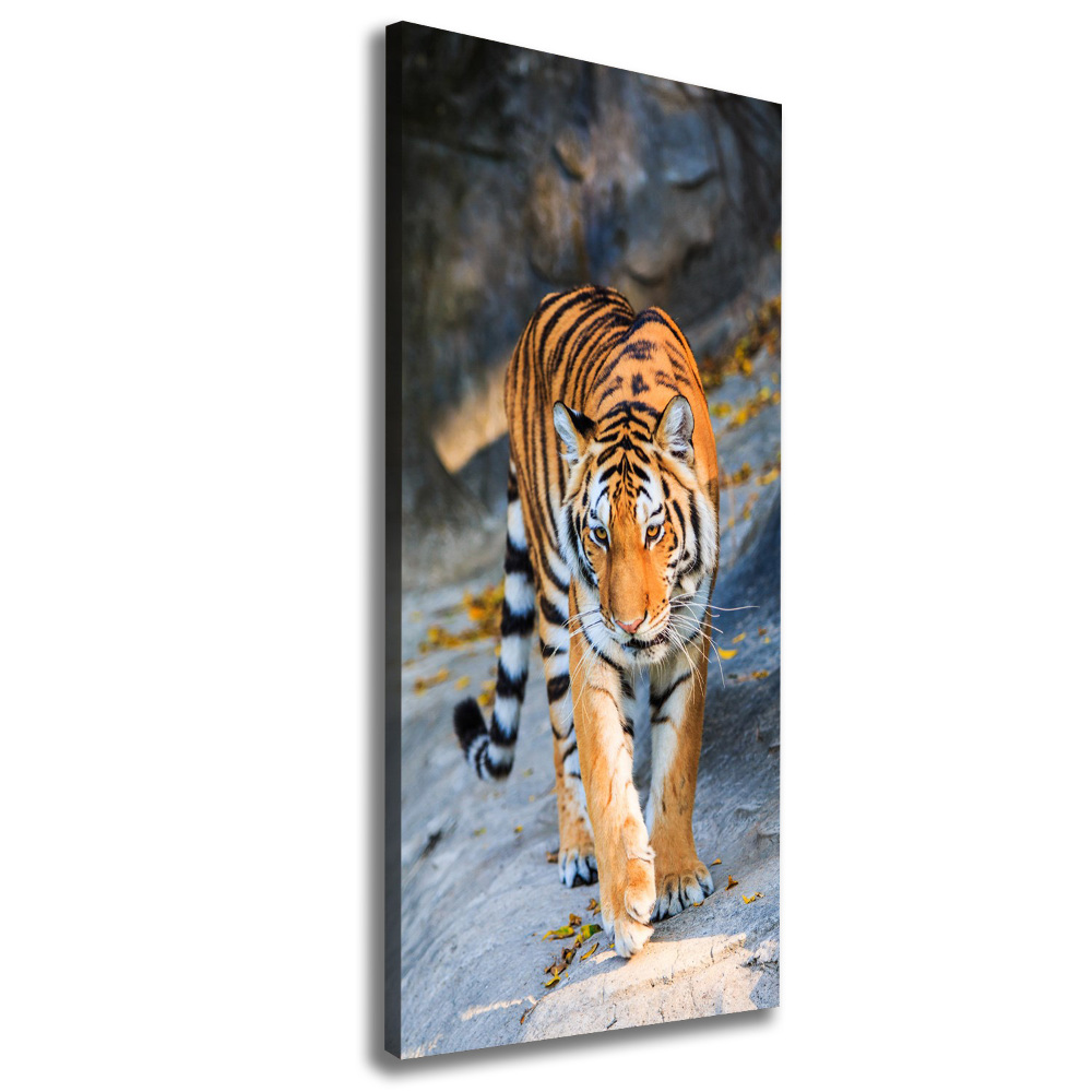 Tableau mural sur toile Tigre