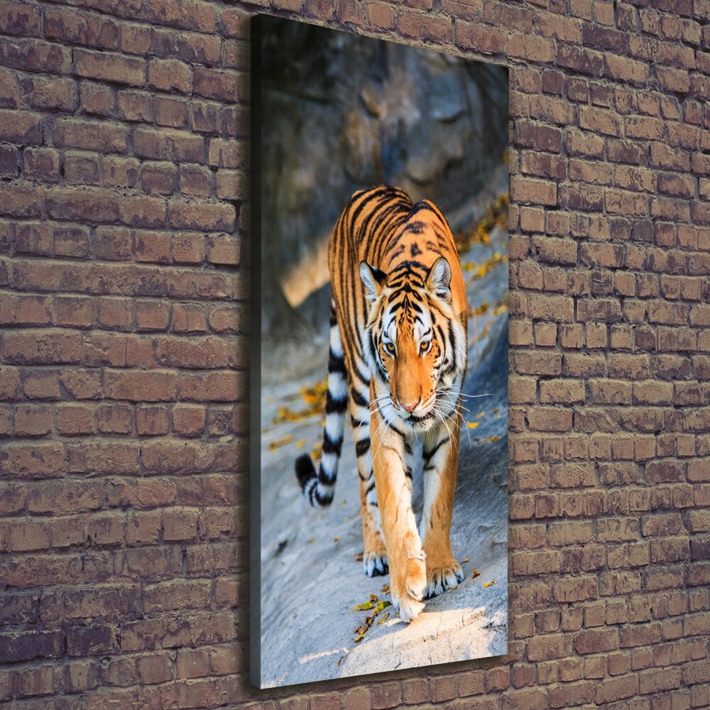 Tableau mural sur toile Tigre