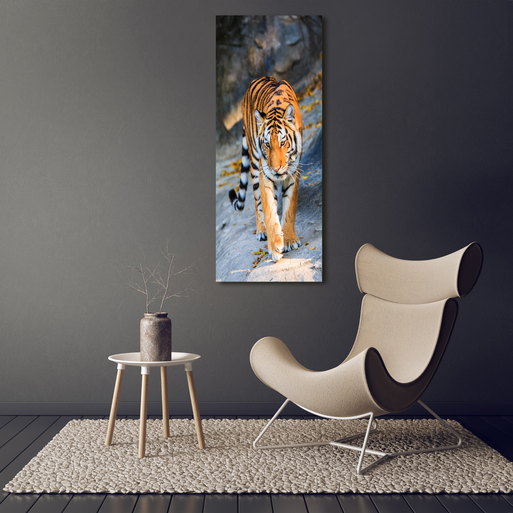 Tableau mural sur toile Tigre