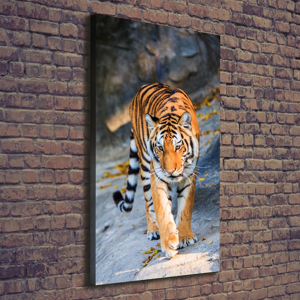 Tableau mural sur toile Tigre