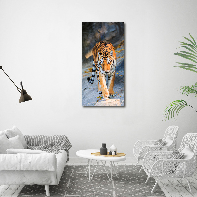 Tableau mural sur toile Tigre