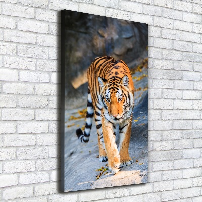 Tableau mural sur toile Tigre