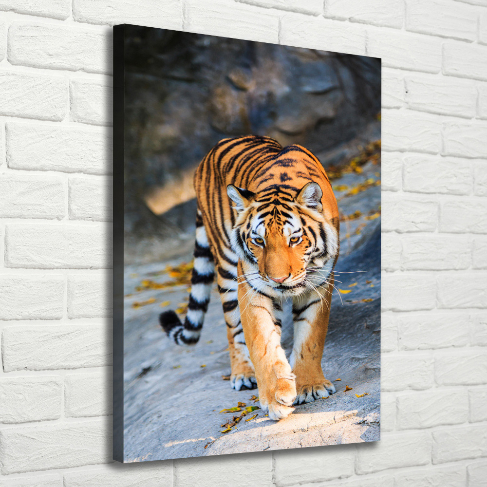 Tableau mural sur toile Tigre