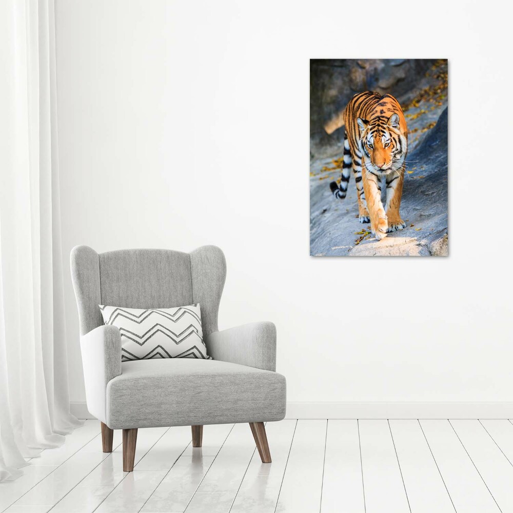 Tableau mural sur toile Tigre