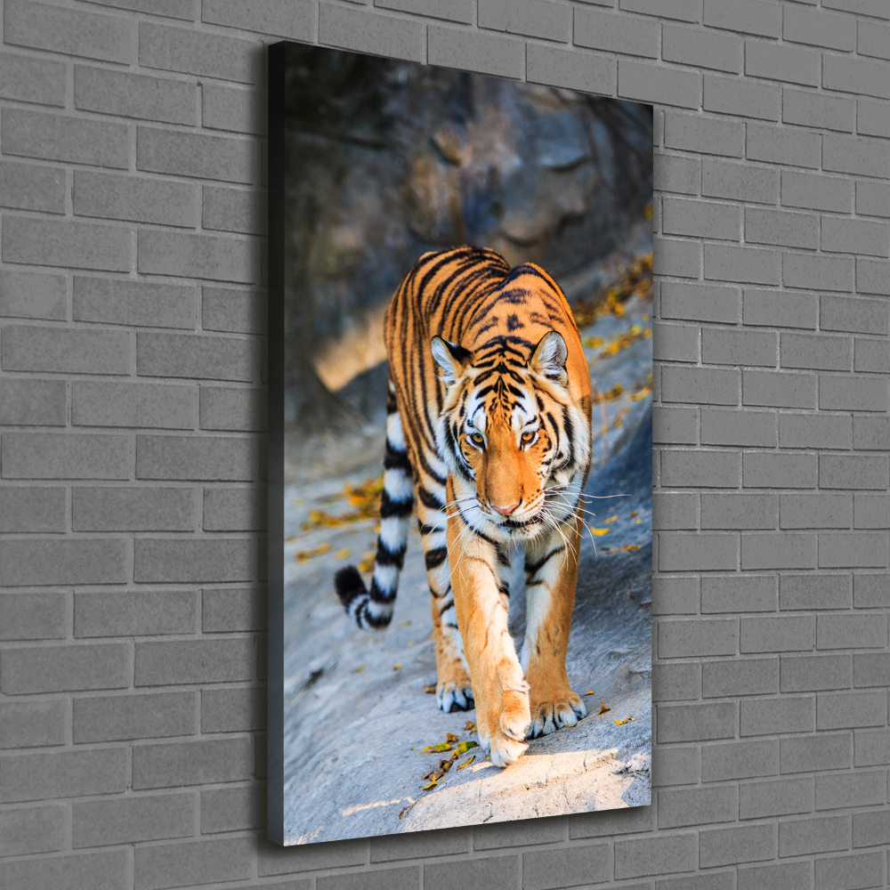 Tableau mural sur toile Tigre