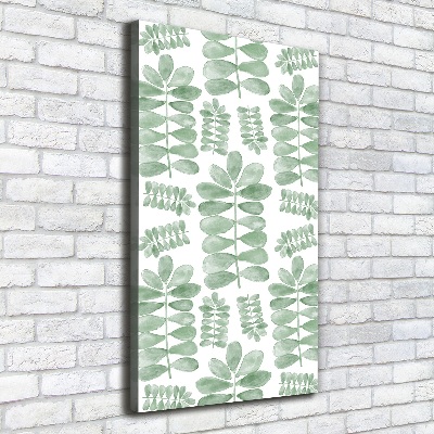 Tableau photo sur toile Feuilles d'eucalyptus