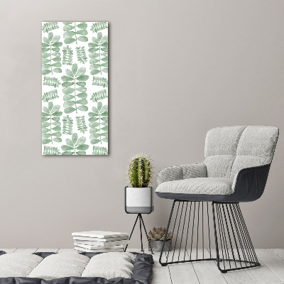 Tableau photo sur toile Feuilles d'eucalyptus