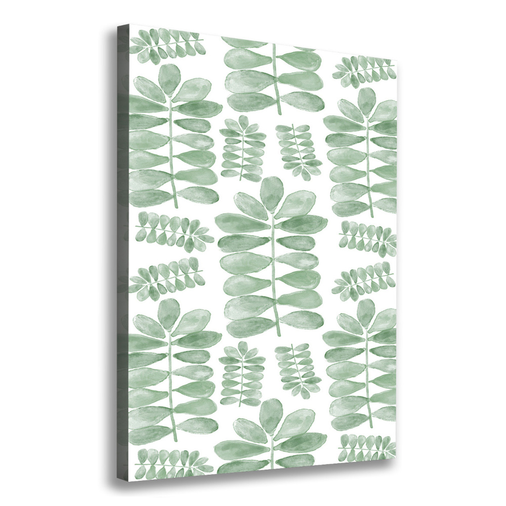 Tableau photo sur toile Feuilles d'eucalyptus