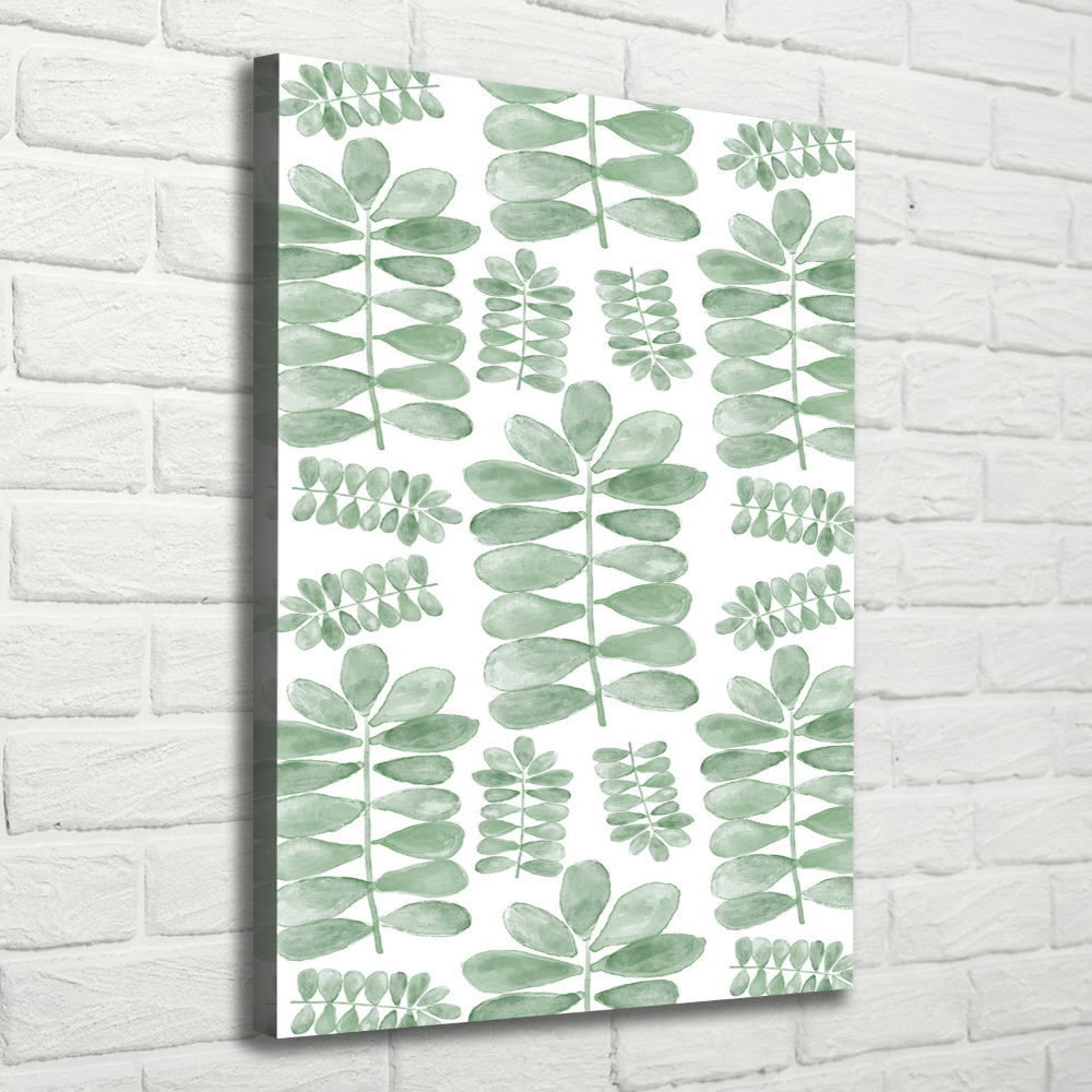 Tableau photo sur toile Feuilles d'eucalyptus