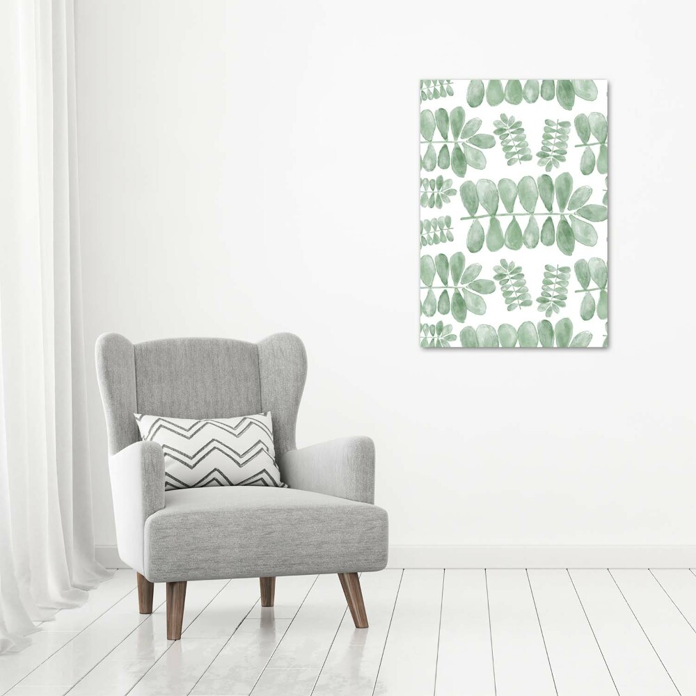 Tableau photo sur toile Feuilles d'eucalyptus