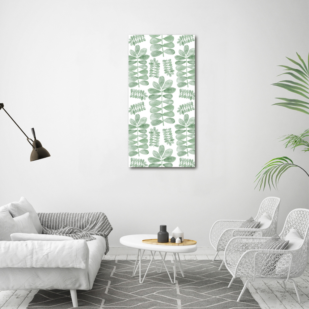 Tableau photo sur toile Feuilles d'eucalyptus