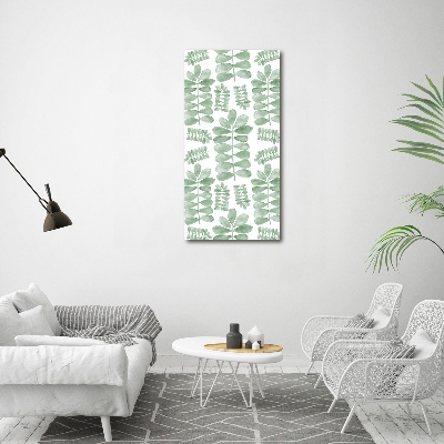 Tableau photo sur toile Feuilles d'eucalyptus