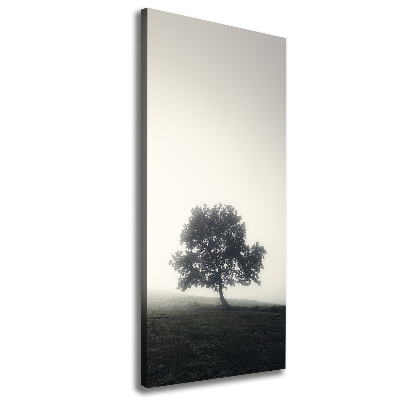 Tableau sur toile Arbre dans la brume