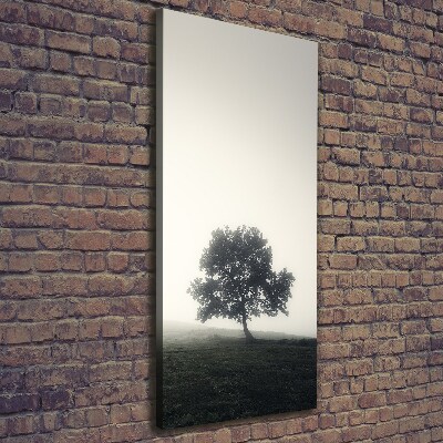 Tableau sur toile Arbre dans la brume