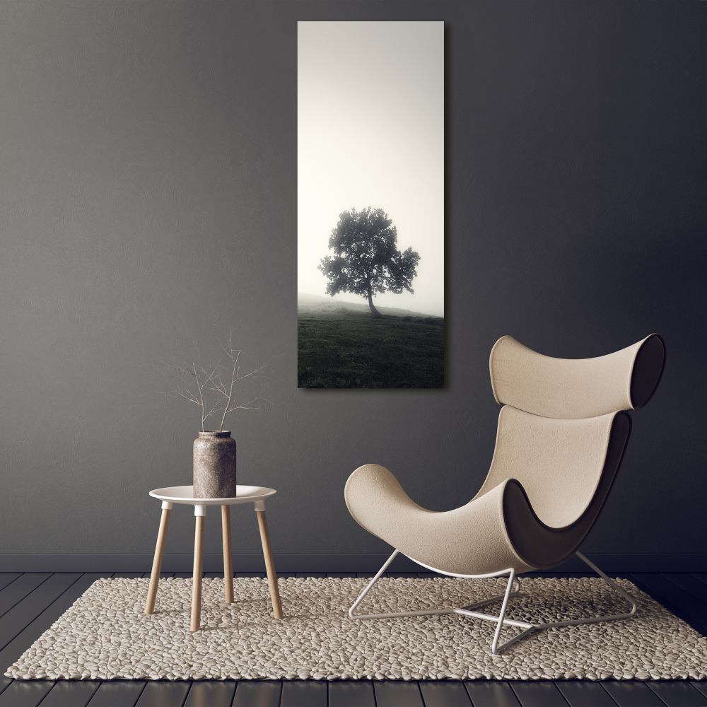 Tableau sur toile Arbre dans la brume