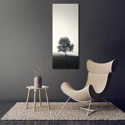 Tableau sur toile Arbre dans la brume