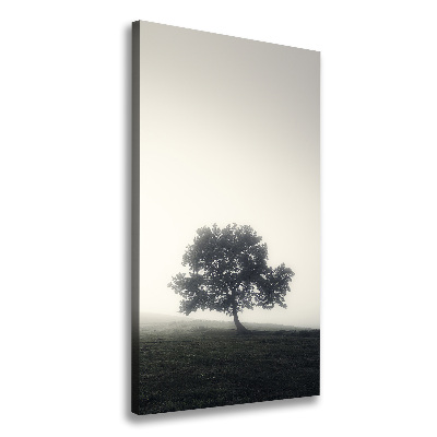 Tableau sur toile Arbre dans la brume