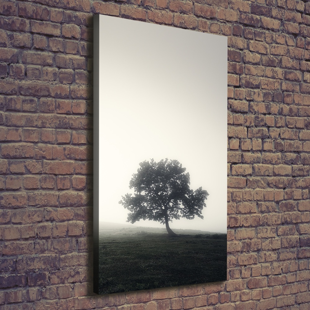 Tableau sur toile Arbre dans la brume