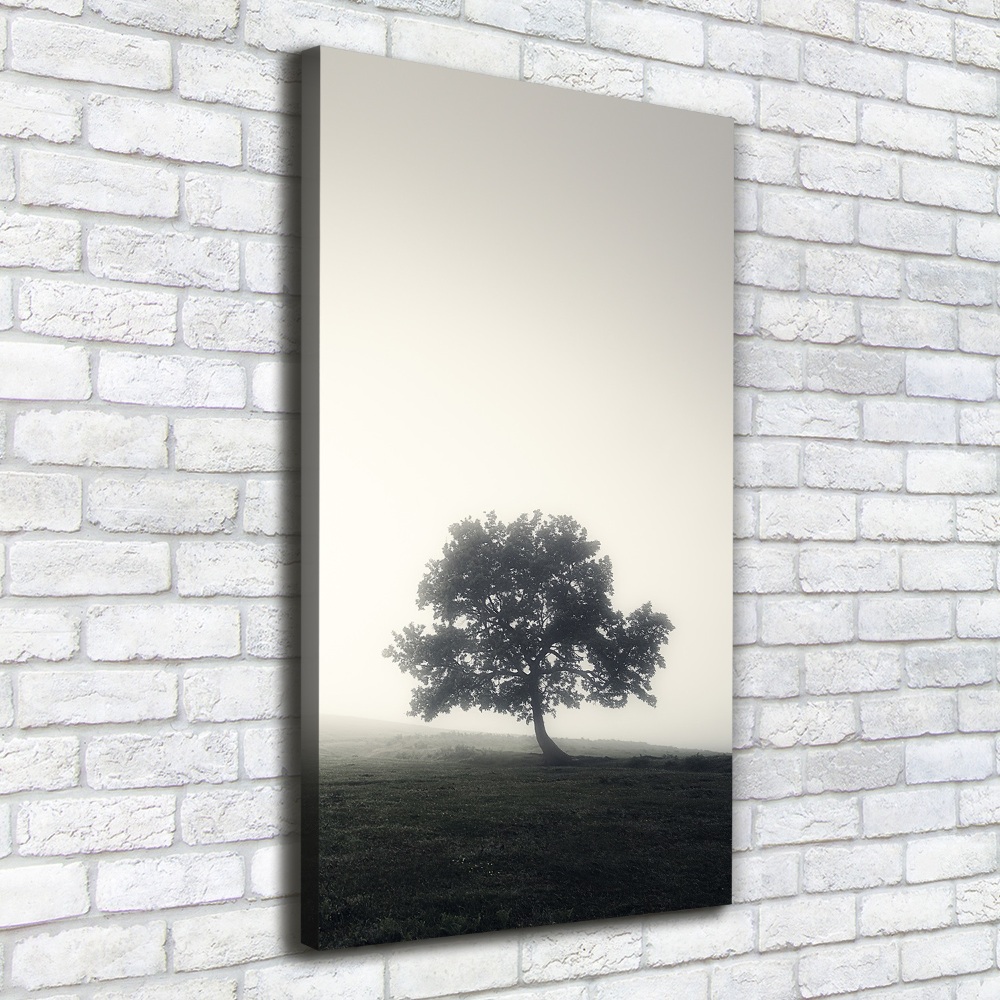 Tableau sur toile Arbre dans la brume