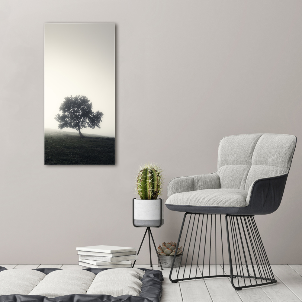 Tableau sur toile Arbre dans la brume