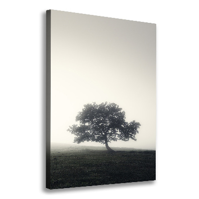 Tableau sur toile Arbre dans la brume