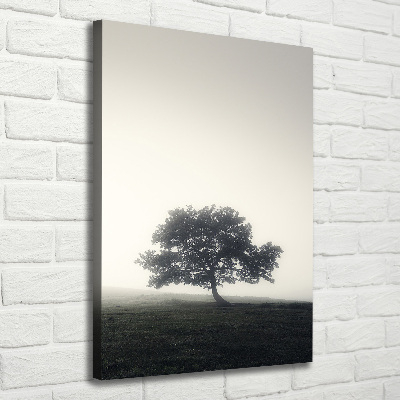 Tableau sur toile Arbre dans la brume